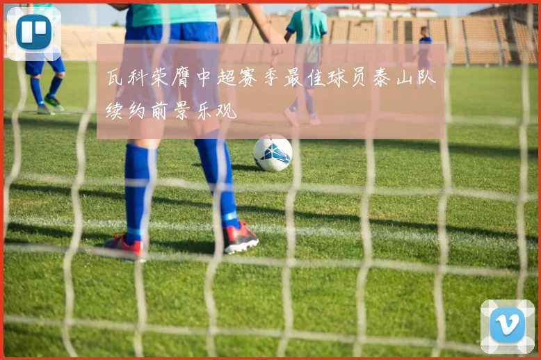 瓦科荣膺中超赛季最佳球员泰山队续约前景乐观